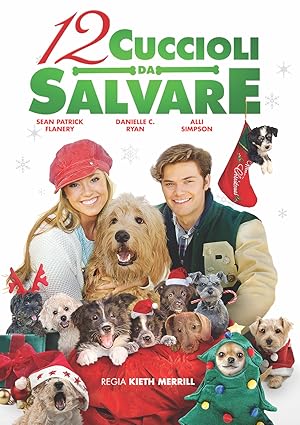 12 Dogs of Christmas: Great Puppy Rescue (2012)
