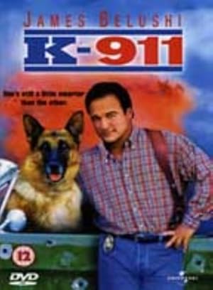 K-911  (1999)