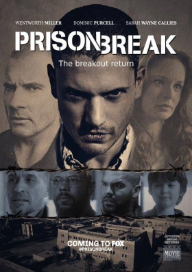 Prison Break: Sequel (2017) TV Series