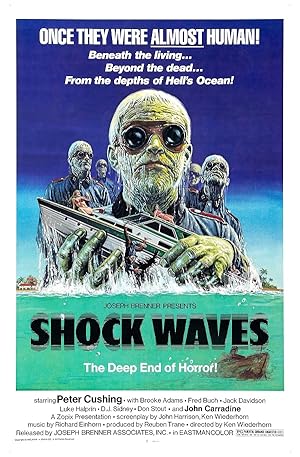 Shock Waves (1977)