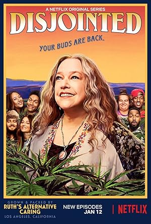 Disjointed (2017) TV Series