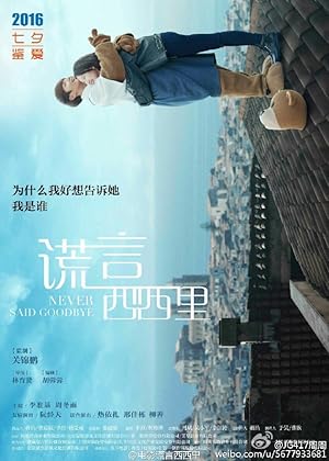 Never Said Goodbye (2016)