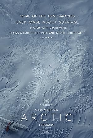 Arctic (2018)
