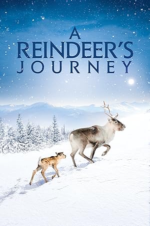 A Reindeer's Journey / Aïlo: Une odyssée en Laponie (2018)
