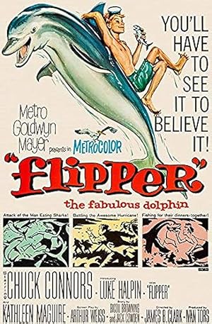 Το δελφίνι / Flipper (1963)