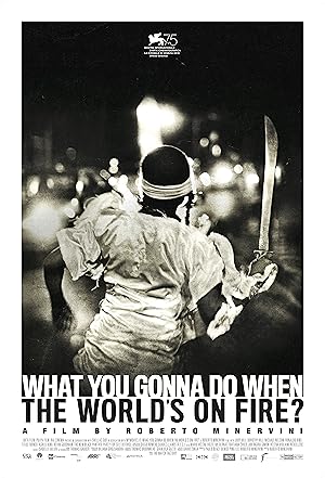 Εσύ, τι θα κάνεις όταν ο κόσμος πάρει φωτιά / What You Gonna Do When the World's on Fire? (2018)